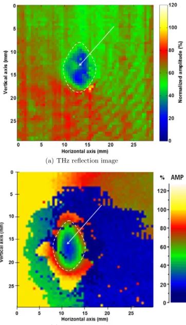 Fig. 5. Sample S1 verso. (For interpretation of the references to color in this ﬁgure, the reader is referred to the web version of this article.)