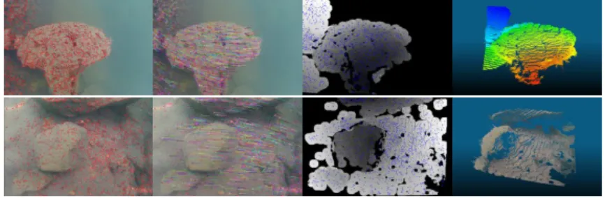 Figure 9: Example of the di↵erent steps of the 3D reconstruction software: