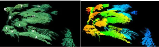 Figure 12: Examples of point clouds produced from the acquired data (relative to the cameras).