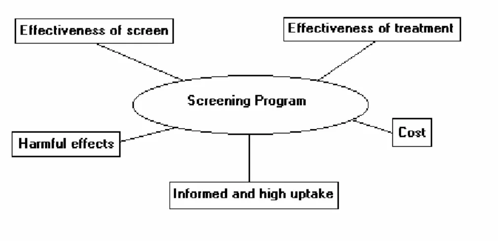 Figure 1 – Issues surrounding screening programs 