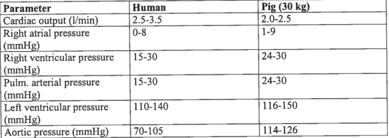 Table I: Comparison of cardiovascular system parameters between humans and pigs.27
