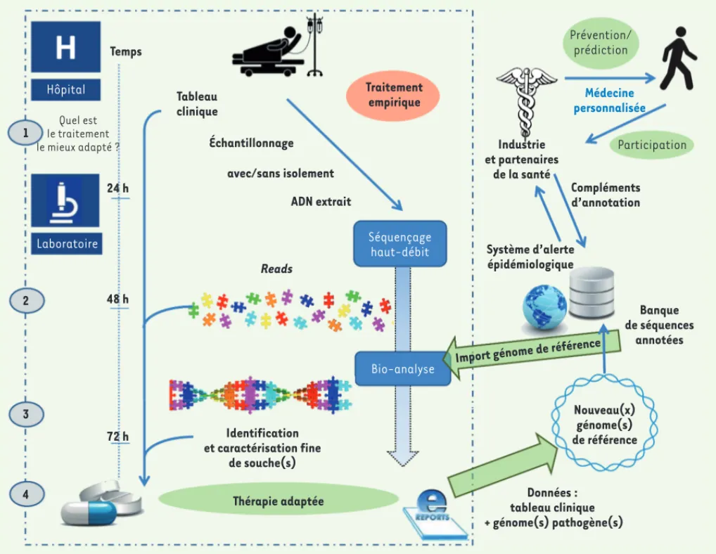 Figure 2. Une organisation possible de la gestion et de l’exploitation des données issues du séquençage haut-débit : vers un diagnostic génomique.