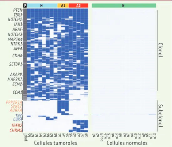 Figure 1. Mutations observées dans la tumeur TNBC. Tout à gauche : répartition des  374 mutations ponctuelles observées par séquençage global de la tumeur, avec  indication dans la marge de certains des gènes impliqués