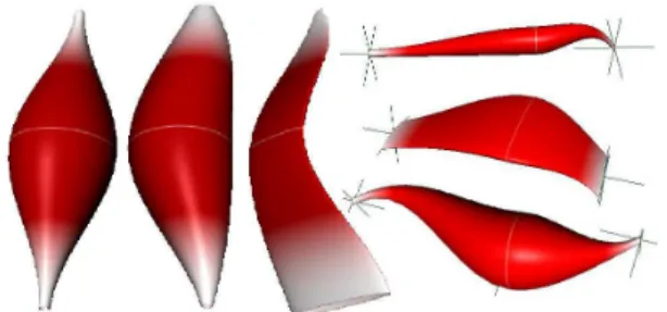 Figure 1: Various muscle shapes generated with our Maya plugin. From left to right: original template shape; non-linear sweeping spline; flat muscle;  arbi-trary muscles