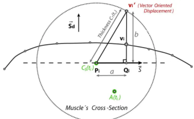 Figure 5: From left to right: radial influence template, half-space template, and fitted template