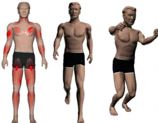 Figure 9: From left to right: male gymnast model com- com-posed of 82K polygons and 56 muscles (setup time about 8 hours); 2 frames from the GPU real-time  an-imation.