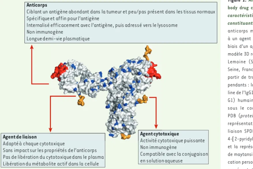 Figure 1. Anatomie d’un anti- anti-body drug conjugate (ADC) et  caractéristiques clés de ses  constituants