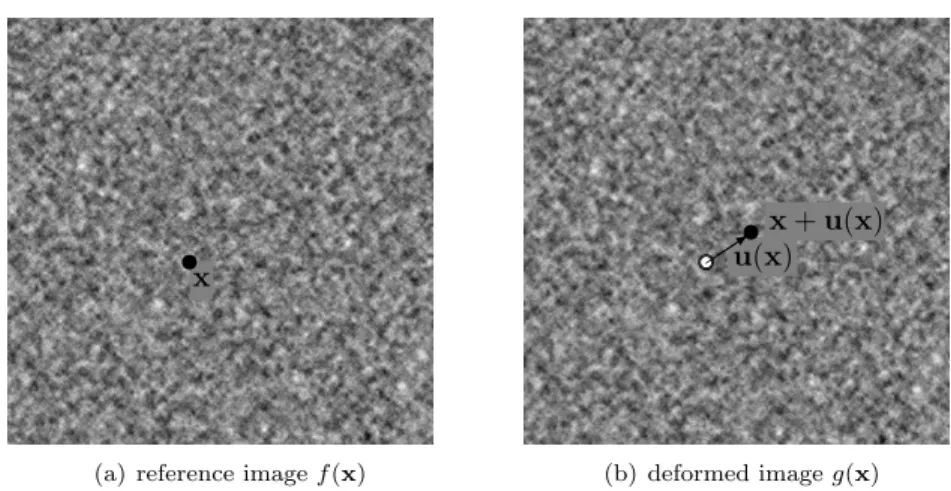 Figure 1. Example of 2 synthetic grayscale images. f (left) and g (right) correspond to the reference and deformed state respectively