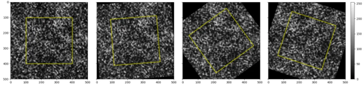 Figure 2. Images and mesh used for the rotation example illustrated with different angles θ; from left to right: θ = 0 ◦ , θ = 4.5 ◦ , θ = 36 ◦ , θ = 72 ◦