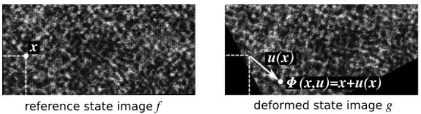 Figure 1. Graylevel conservation problem: Find transformation φ (or displacement u) that registers the two graylevel digital images f (x) and g(x).