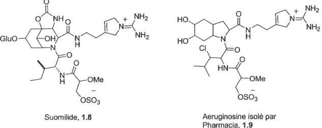 Figure 1 .4 Suomilide ainsi que le nouvel aeruginosine isolé par Pharmacia.