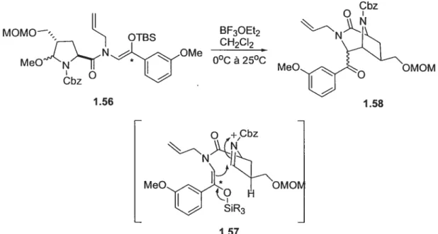 Figure 1 .21 Cyclisation d’un éther d’énol silylé sur un ion N-acyloxyiminium.