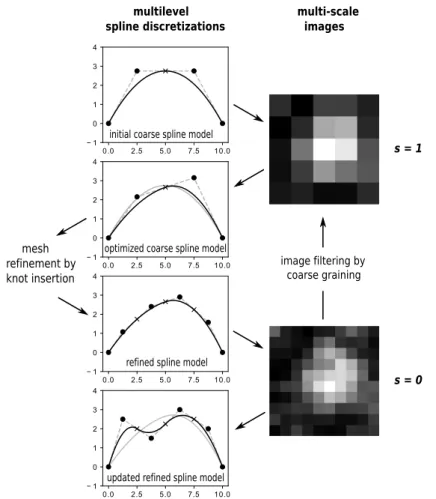 FIGURE 5 Principle of the geometric regularization: the multilevel spline optimization process is coupled with the multi-scale initialization of shape measurement.