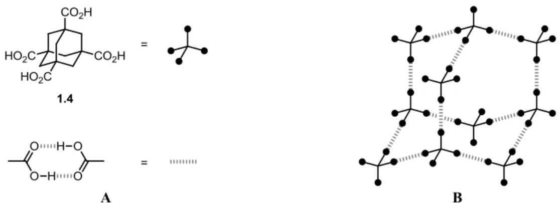 Figure 1.4. (A) Structure de l’acide adamantane-1,3,5,7-tétracarboxylique et du dimère formé  par l’association de deux acides carboxyliques