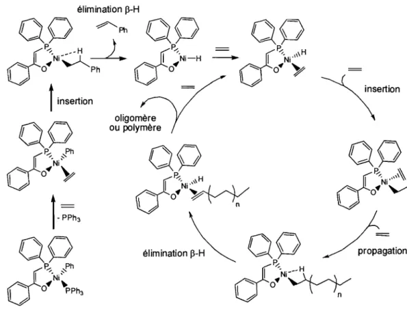 Figure 1.2. Exemple de  cycle catalytique pour la polymérisation de  l'éthylène. 