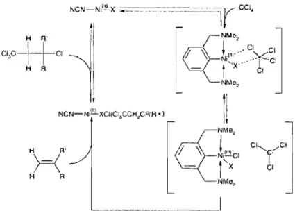 Figure 1.14. Cycle catalytique proposé pour l'addition de Kharasch,zc 
