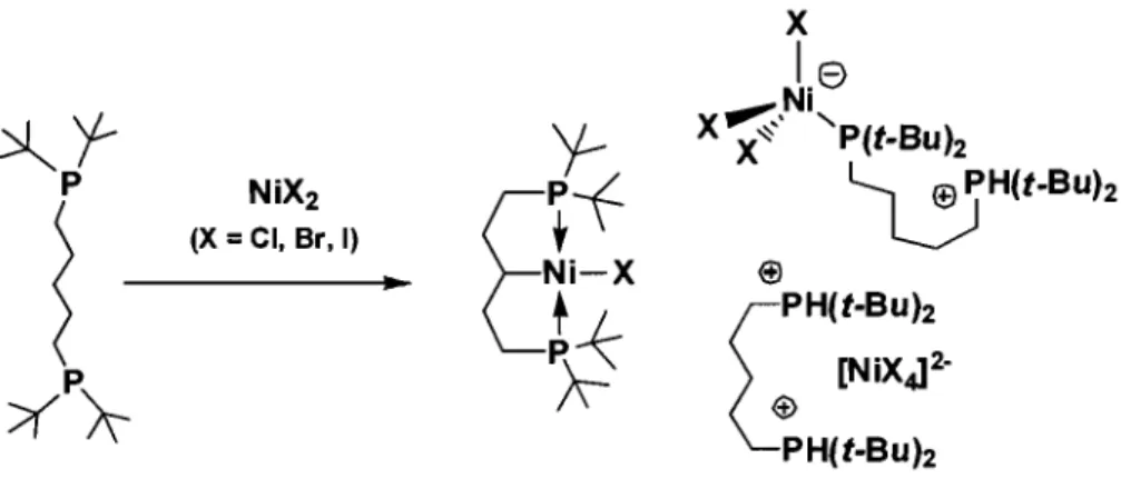 Figure 1.18 :  Synthèse des complexes  «  pincer» rapportés au  chapitre  2. 
