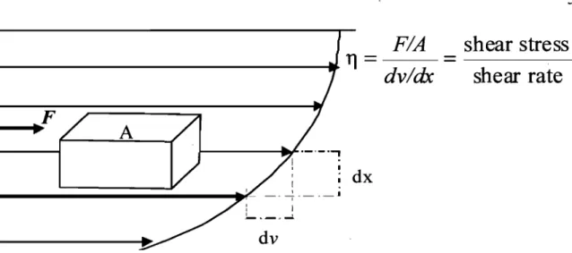 Figure  1.3.  Parabolic velo city  profile  in laminar flow.  The  shear rate  (dvldx)  is  the  ratio  of the  velocity difference  (dv)  of adjacent fluid  lamina to the distance  between  the fluid lamina (dx)