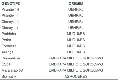 Tabela 1. Genótipos do banco de germoplasma do Ifes campus Itapina avaliados e  caracterizados
