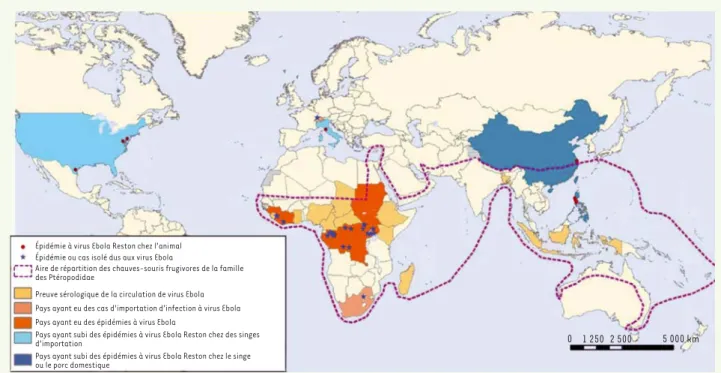 Figure 2.  Répartition en 2014 des cas d’importation et des épidémies à virus Ebola. En pointillé, la limite de répartition des chauves-souris   frugivores de la famille des ptéropodidae (données WHO, modifiées).