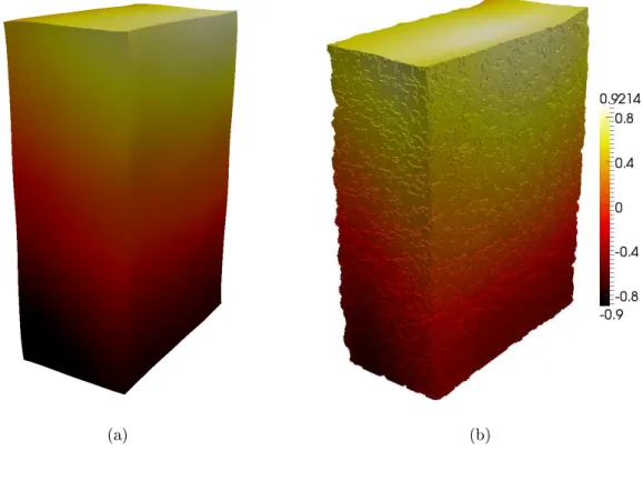 Figure 4: Transverse displacement along the longer edge direction expressed in voxels of the sample described in Section 5 with ℓ m = 32 voxels