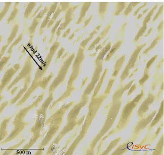 Fig. 1. A picture of a virtual stormy sea-state by IPAS [2]