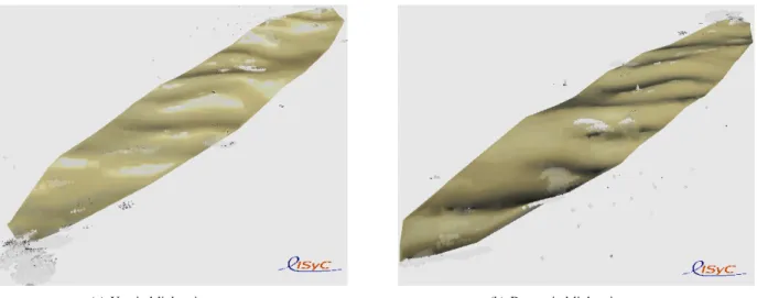 Fig. 4. I PAS ability for rendering the skewness of the sea slope distribution