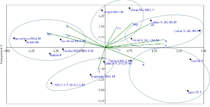 Figura 1. Disposição vetorial dos nutrientes: N, P, K, Ca, Mg, S, Fe, Zn, Cu, Mn e B pela média dos resultados dos anos  de  2016  e  2018  conforme  os  dois  eixos  principais  da  PCA;  e  distribuição  dos  resultados  das  avaliações  em  relação  a  