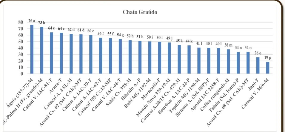 Figura 4. Peneira do tipo chato graúdo (17 e acima) de 02 safras (2015 e 2016) de 25 genótipos de  café, Região de Montanhas, Marechal Floriano, ES