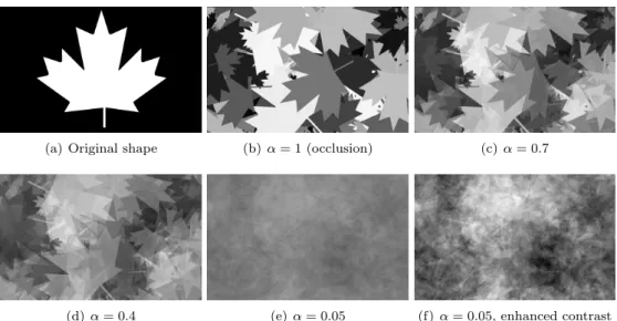 Figure 2: TDL realizations with various transparency coefficients α. The RACS X i are all obtained from the original shape 2(a) by applying a rotation of angle θ ∼ U nif (0, 2π) and a homothety of factor r ∼ U nif(0, 1), and P a = U nif(0, 255)