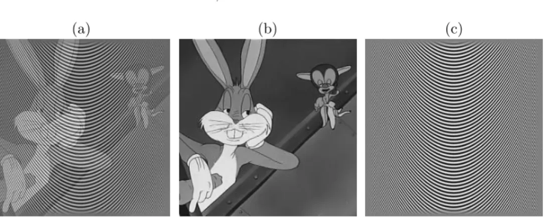 Fig. 5.1. A synthetic example. (a) the input image ; (b) and (c) respectively the structure and texture components used to produce the image.