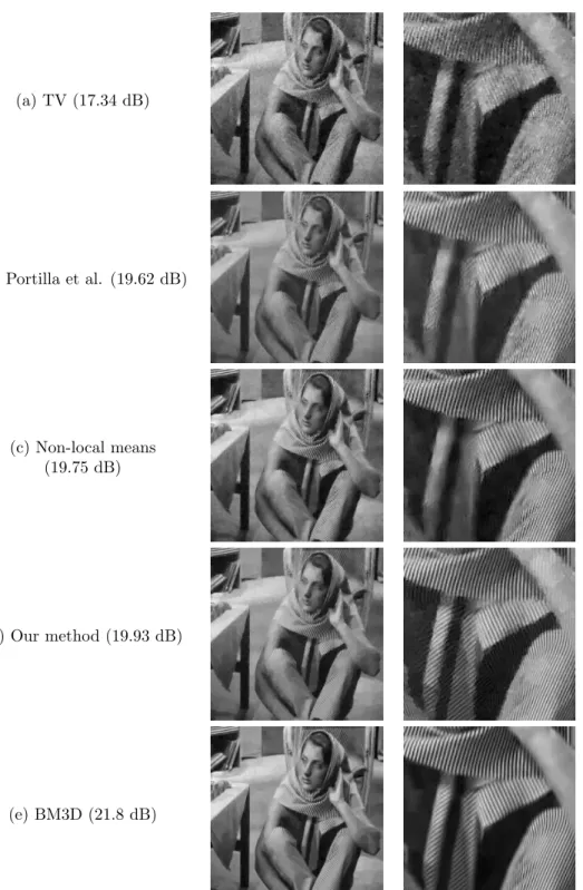 Fig. 5.6. Denoising of image f from Fig. 5.5. (a) TV-denoising ; (b) result of Portilla et al.
