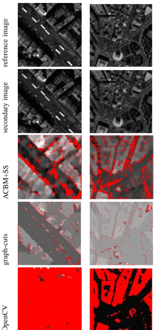 Fig. 8. (a) Reference image with a texture and a stripes periodic motif. The secondary image is a 2 pixels translation of the reference image