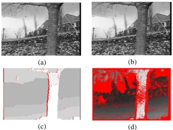 Fig. 10. CMU Shrub scene. (a) and (b) Reference and secondary images. (c) Method of Sara [34]