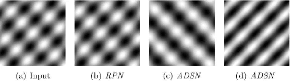 Figure 6: Differences between the outcomes of the RPN and the ADSN associated with the bisinusoidal image6(a)