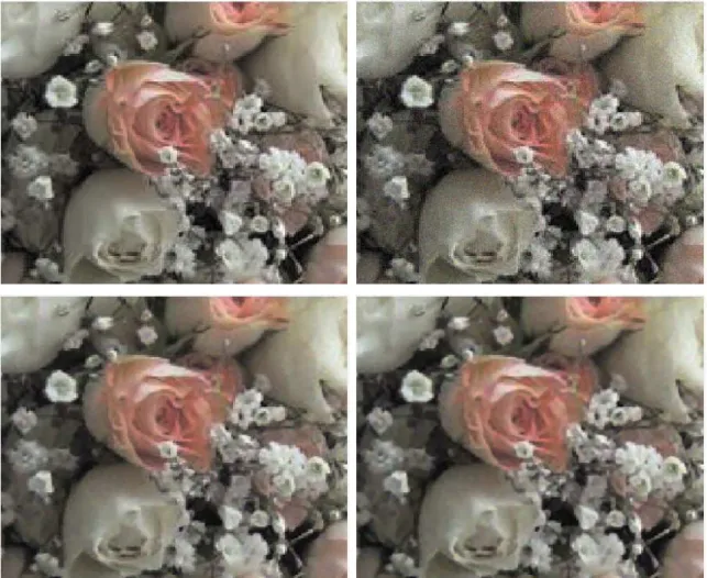 Figure 2: First row: original and noisy images (PSNR = 56.9 dB). Second row: denoised with color ROF (λ = 15, PSNR= 73.8 dB) and with color OSV (λ = 15, PSNR= 73.4 dB).