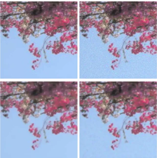 Figure 3: First row: original and noisy images (PSNR = 57.3 dB). Second row: denoised with color ROF (λ = 25, PSNR= 74.2 dB) and with color OSV (λ = 25, PSNR= 74.1 dB).