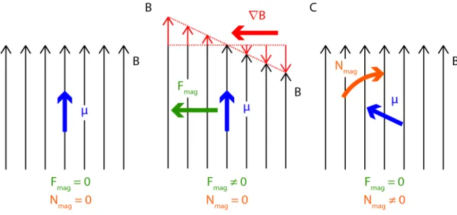 Figure 3.2. Schéma représentant l’effet d’un champ magnétique sur mo- mo-ment magnétique µ