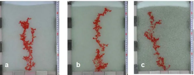 Figure 2. Three examples of rising finger (cf parameters of Table 1-2) for the same injection rate  (0.5 ml/mn) but slightly different porous media