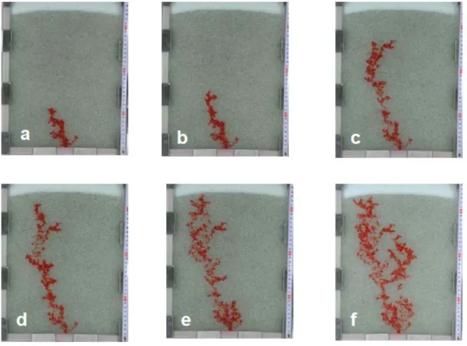 Figure 3. Snap-shots of the same experiment using beads of 1.5-2mm diameter, observed at  various instants labelled a,b,c,d,e,f (cf parameters of Table 1-3)