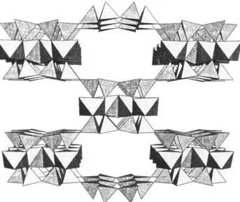 Fig. 1. Polyhedral representation of attapulgite [27].