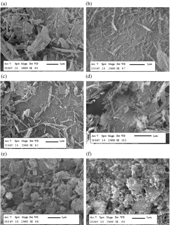 Fig. 7. Attapulgite, ground 3 h in ball mill without additives (a), ground 3 h in ball mill with adipic acid 1% (b), ground 3 h in ball mill with ethanol 1% (c), ground in air jet mill (d), ground 3 h in Pulverisette 0 (e) and ground 60 h in Pulverisette 0