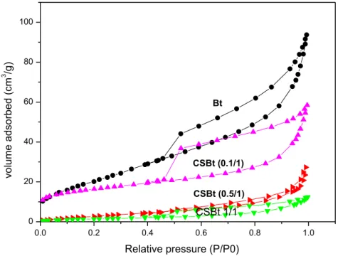 Fig. 7. Nitrogen adsorption–desorption isotherms of Bt and CSBt composites.