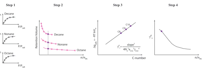 Fig. 7. Determination of surface energy proﬁle by IGC-SEA.