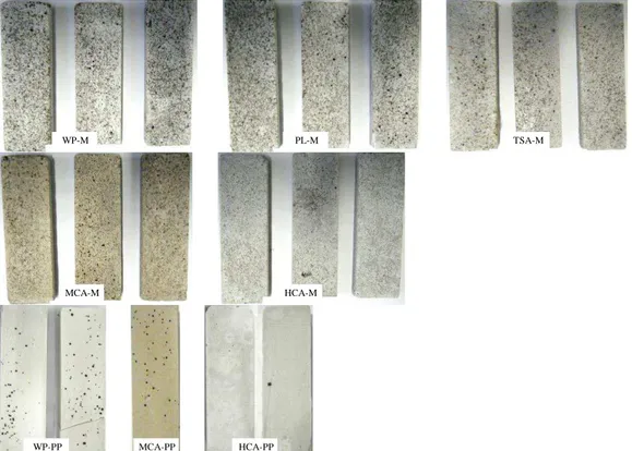 Fig. 5 represents the specimens inoculated with Coniosporium uncinatum after 52 days  of incubation