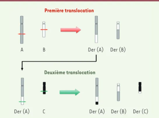 Figure 2. Décomposition théorique d’un CCR exceptionnel en deux étapes.