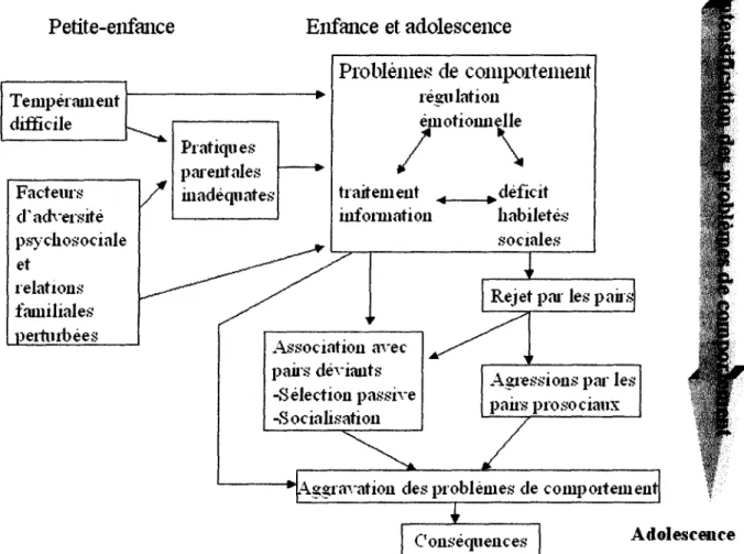 Figure 1. Chaîne développementale des mécanismes menant à l'aggravation des problèmes de comportement