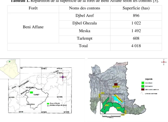 Tableau 1. Répartition de la superficie de la forêt de Beni Affane selon les contons [5].