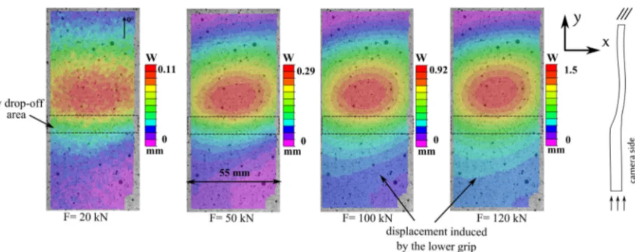 Fig. 4. Out-of-plane displacement field of A si 15 pristine specimen.