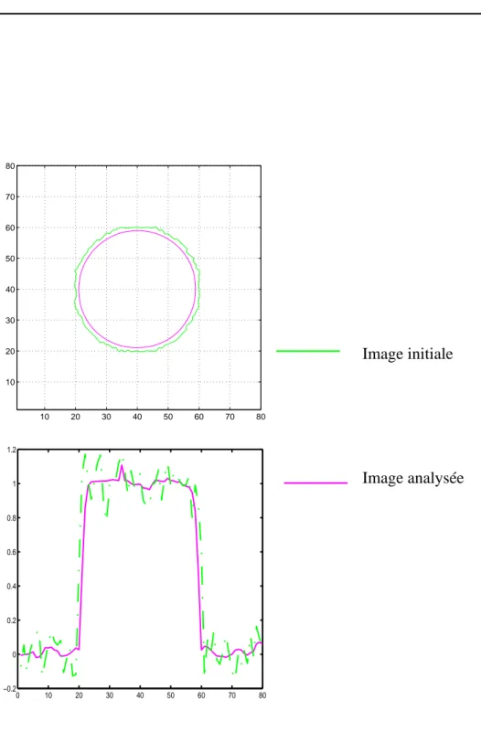 Figure 43. En haut contour image bruitée (10%) avant et après analyse affine (AMSS - 6 voisins) pour dt=0.05 et 100 itérations ; en bas, vue en coupe